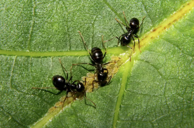 Thinking Problem Through