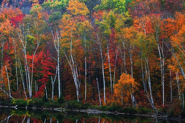 Autumn's breath whispers ...