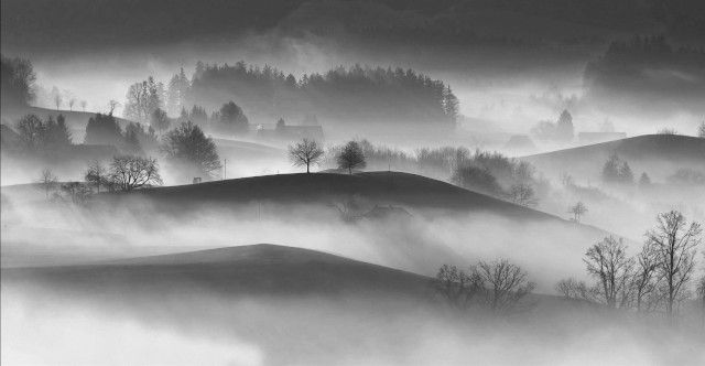 Monday mental fog ...