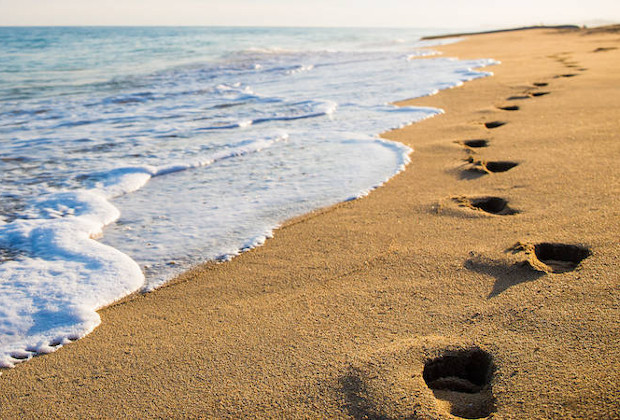 Don't be distracted ...