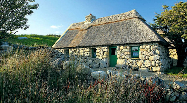 Life is just perfect ...