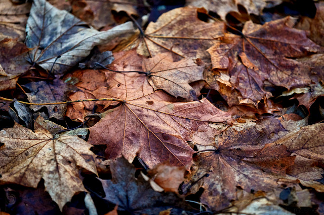 Time wears you away...