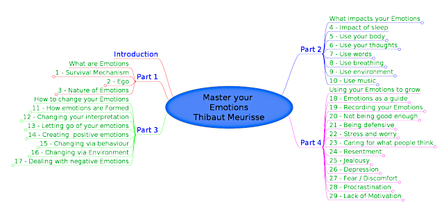 Master Your Emotions by Thibaut Meurisse