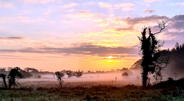 Mists blanket the land....