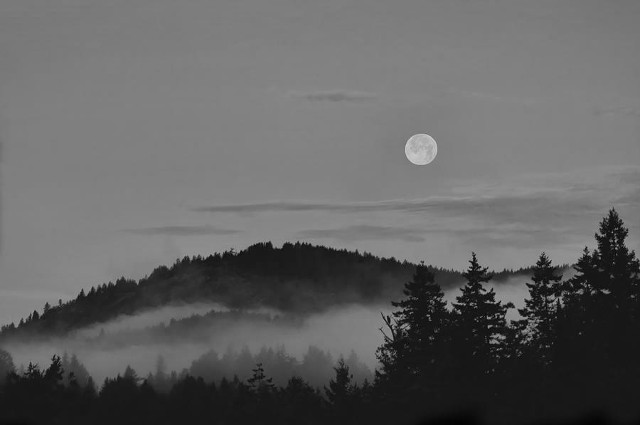 Cool distant beauty ...