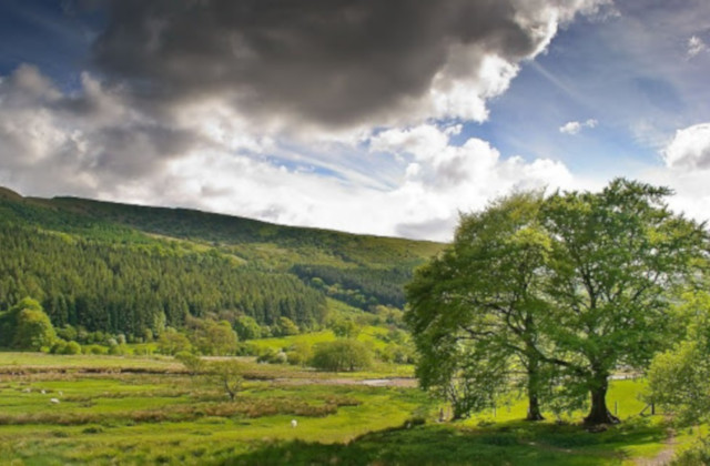 This is 'the good life'