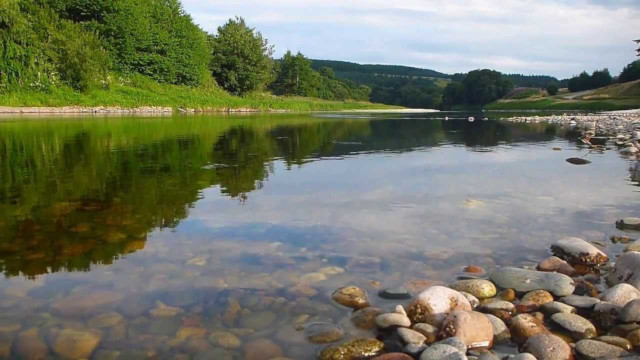 Mind aimlessly flows ...