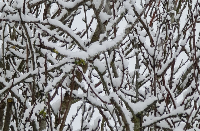 Cold icy morning ...