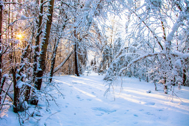 Winters icy hand ...