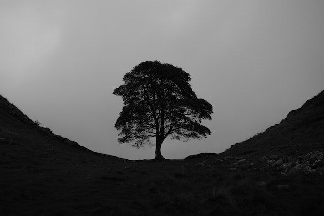 The day sets slowly ...