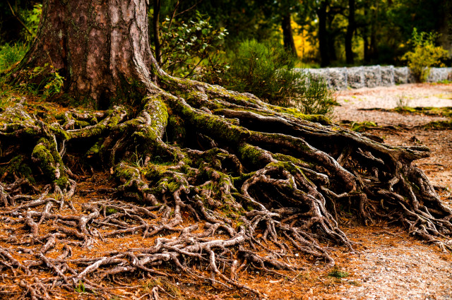 Focus the moment ...